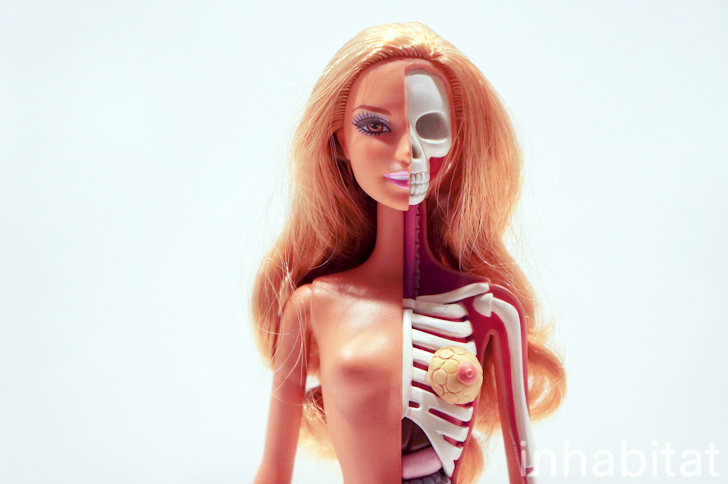 jason-freeny-anatomical-barbie-pratt1